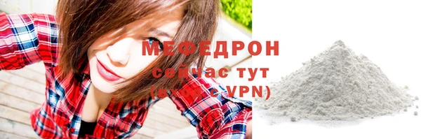 индика Саяногорск