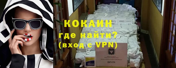 индика Саяногорск