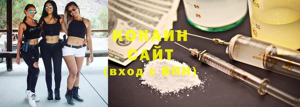 индика Саяногорск