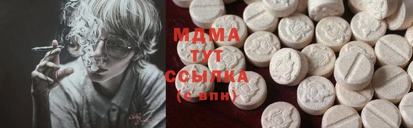 индика Саяногорск