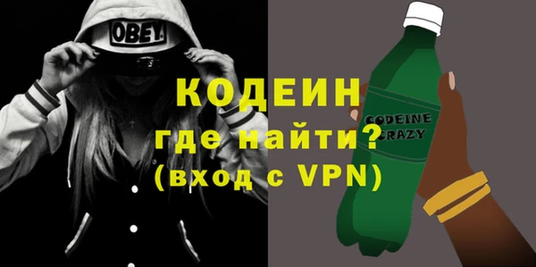 индика Саяногорск
