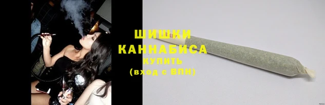 индика Саяногорск