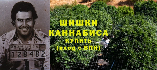 индика Саяногорск