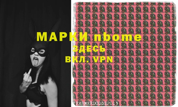 индика Саяногорск