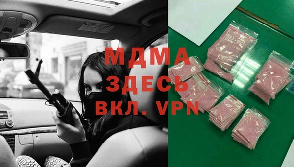 индика Саяногорск