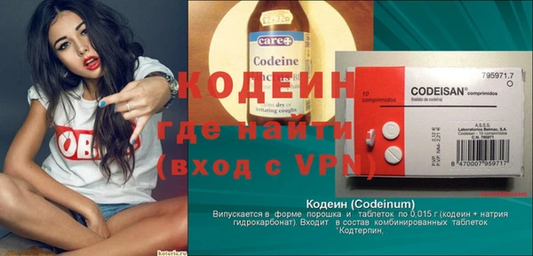 индика Саяногорск