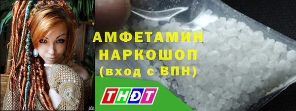 индика Саяногорск